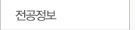 전공정보