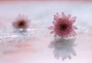 bestphoto01.jpg