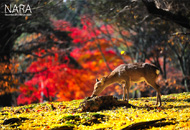 bestphoto03.jpg