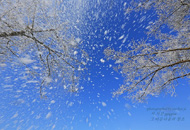 bestphoto07.jpg
