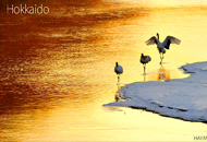 bestphoto09.jpg