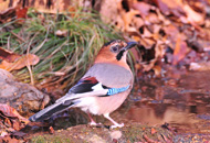 bestphoto10.jpg