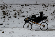 bestphoto12.jpg