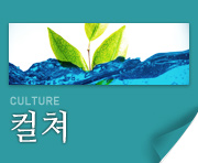 컬쳐