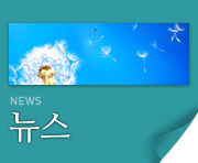 뉴스