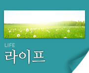 라이프