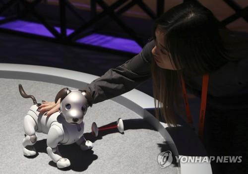 CES 2019 소니 '아이보'