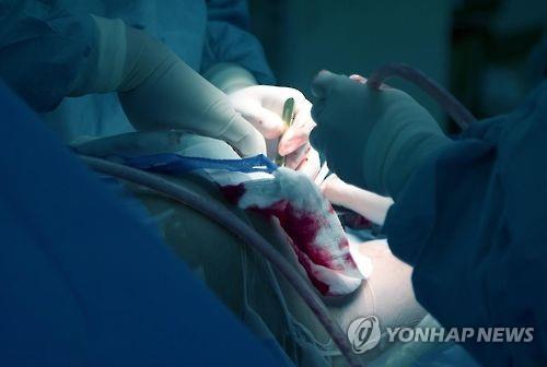 연합뉴스 제공