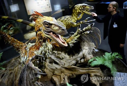 독일 LWL 자연사박물관에 전시된 데이노니쿠스