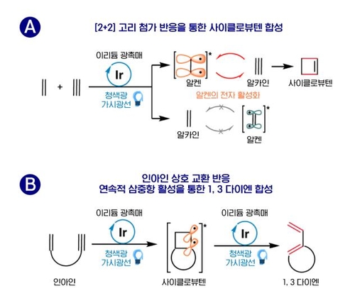연합뉴스 제공