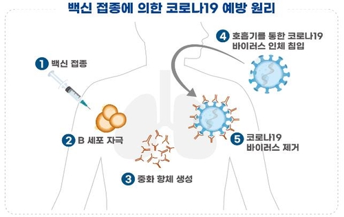 백신의 코로나19 예방원리