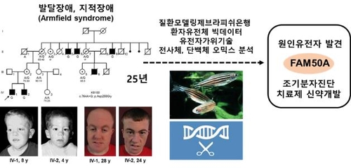 발달장애·지적장애 일으키는 원인 유전자 발견