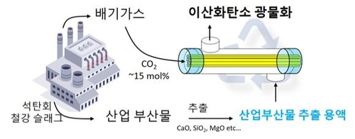 기술 모식도