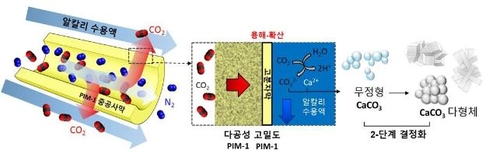 고분자 중공사막의 구조