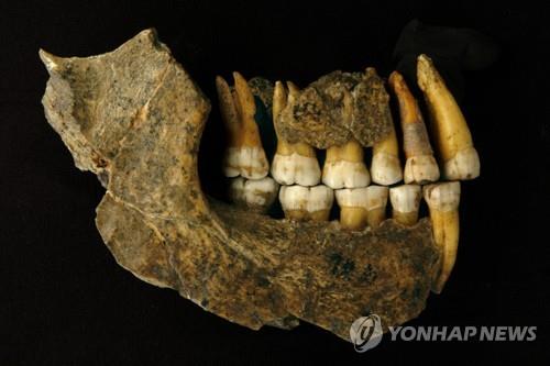 스피 동굴서 나온 네안데르탈인 화석