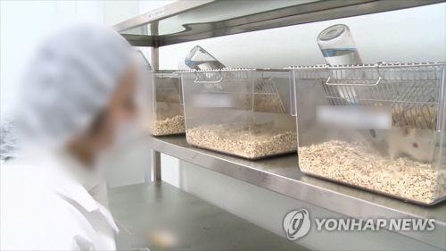 연합뉴스 제공