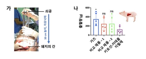 동물모델 대상 지혈 효과 실험
