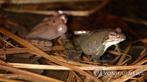 연합뉴스 제공