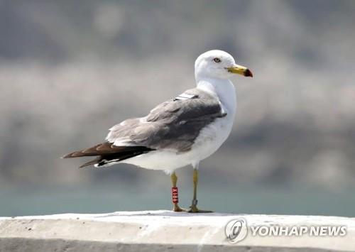 연합뉴스 제공