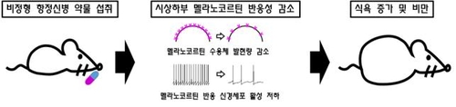비정형 항정신병 약물에 의한 식욕 증가 기제 그림
