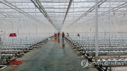 스마트 팜