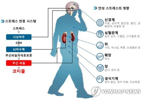 코르티솔 분비 시스템