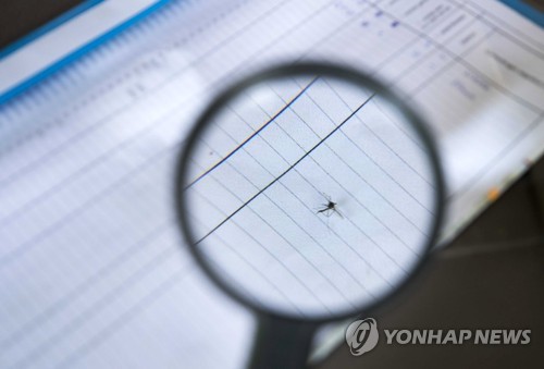 '아디다스 모기'로도 알려진 흰줄숲모기
