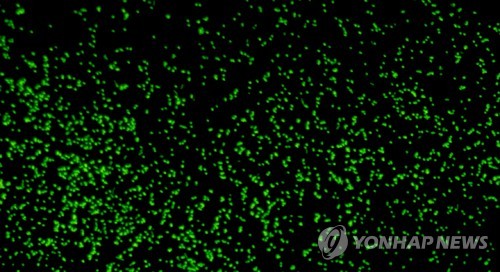 연합뉴스 제공