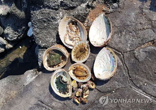 제주 서귀포 앞바다서 전복 폐사